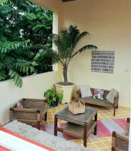 a living room with couches and a palm tree at Ranjit's Svaasa Amritsar in Amritsar