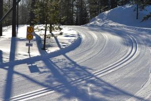 Gallery image of GERIKA 2 in Enonkoski