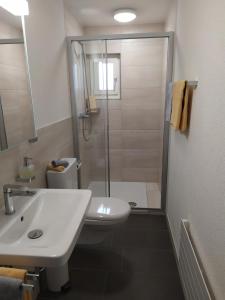 La salle de bains est pourvue de toilettes, d'un lavabo et d'une douche. dans l'établissement Café-Conditorei Hotel Huber, à Lichtensteig