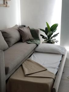 a couch in a living room with a potted plant at Terra Departamentos Boutique in La Falda