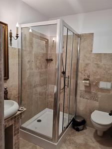 y baño con ducha, aseo y lavamanos. en Weiss Little Palace, en Brasov