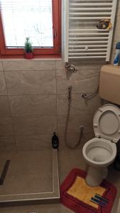 a bathroom with a toilet and a window and a shower at Cozy room with a bathroom in Sarajevo