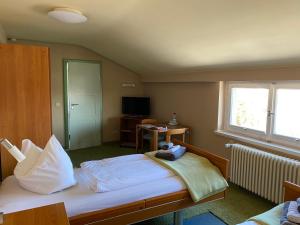 Schlafzimmer mit einem Bett, einem Fenster und einem TV in der Unterkunft Gästehaus am Klinikum in Halle an der Saale