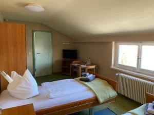 a bedroom with a bed and a window and a television at Gästehaus am Klinikum in Halle an der Saale