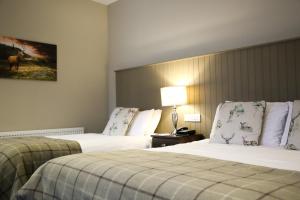 um quarto de hotel com duas camas e um candeeiro em Mulroy Woods Hotel em Milford