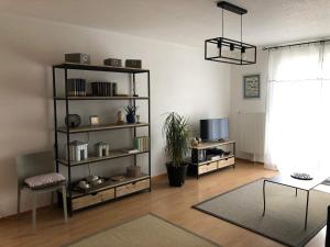 een woonkamer met een boekenplank en een tv bij Au pied des Vosges in Obernai