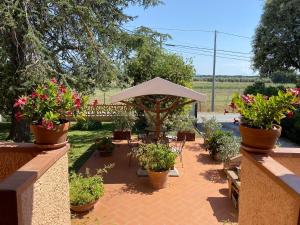 a patio with a bunch of potted plants and an umbrella at La Mimosa in Bolgheri
