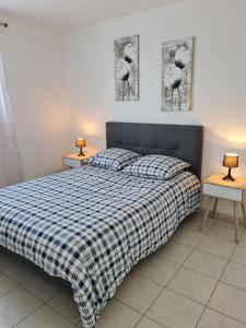 a bedroom with a bed with a plaid blanket and two lamps at Maison indépendante in Lailly-en-Val