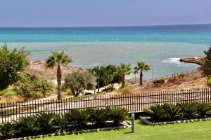 Blick auf einen Strand mit Palmen und das Meer in der Unterkunft BS Luxury Estate El Campello in El Campello