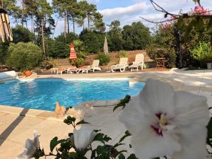 a swimming pool with white flowers in front of it at LE GAHOUN - Chalet in Castets +21 photos