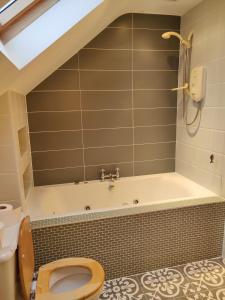 a bathroom with a bath tub and a toilet at Luxury Skibbereen Town House in Skibbereen