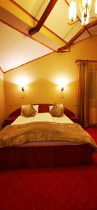 Gallery image of HOTEL ALL TIMES in Timisul de Jos