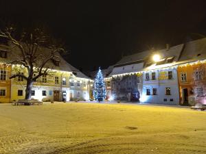 Un árbol de Navidad en medio de un edificio por la noche en Horea 11, en Sighişoara