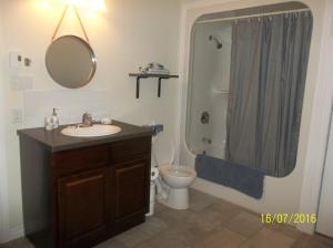 a bathroom with a sink and a shower and a toilet at Cottage Jasmine on the Shediac Bay with hot tub in Shediac +34 photos