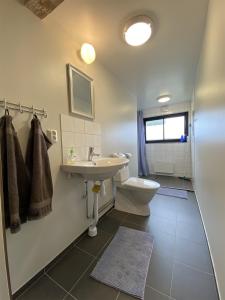 La salle de bains est pourvue d'un lavabo et de toilettes. dans l'établissement Hults-Boaryd Golf och B&B, à Hult