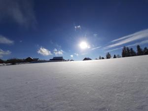 Chata Lesní during the winter