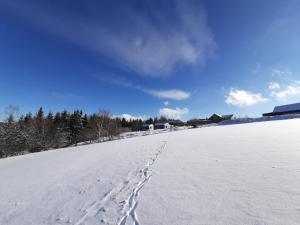 Chata Lesní during the winter