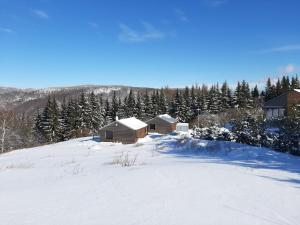 Chata Lesní during the winter