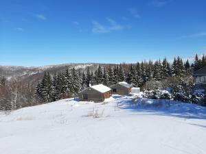 Chata Lesní during the winter