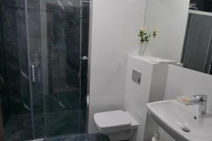 a bathroom with a shower and a toilet and a sink at Studio nr 2 close to Medicover and Paley Institute in Warsaw