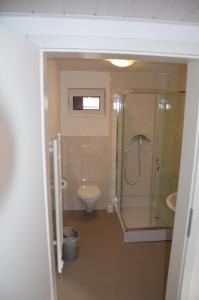 a bathroom with a shower and a toilet and a sink at Gasthaus Löwen in Unterreichenbach