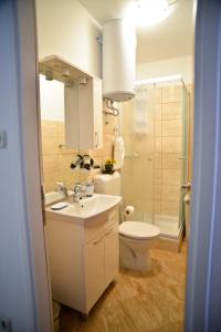 y baño con lavabo, aseo y ducha. en El Mirador Rooms with Balcony, en Zadar