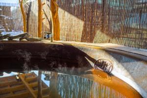a hose spewing water into a swimming pool at Nikol in Turitsa