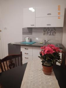 a kitchen with a table with a pot of flowers on it at Apartament Providentia Zakopane Witkiewicza 3 in Zakopane