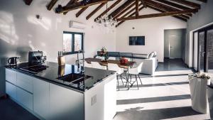 Kuchyň nebo kuchyňský kout v ubytování Luxury Villa Mala
