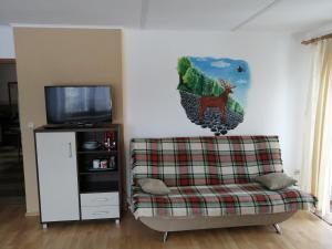 a living room with a couch and a tv at Agroturystyka u Robka in Bodzentyn
