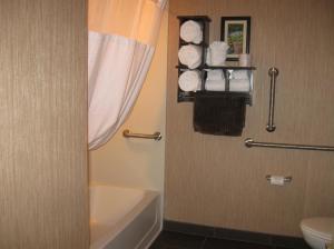 Ένα μπάνιο στο Little Missouri Inn & Suites Watford City +22 φωτογραφίες