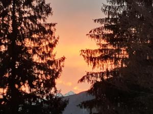 einen Sonnenuntergang in den Bergen mit Bäumen in der Unterkunft Baita Martin da Fist in Caderzone