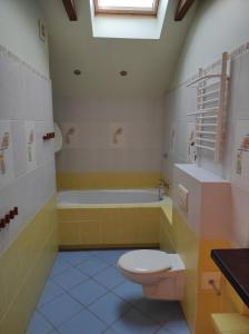 a bathroom with a toilet and a bath tub at Domek Poddąbie in Poddąbie