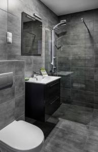 喬保克的住宿－HOTEL CSOPAK Resort & Lake，浴室配有卫生间、盥洗盆和淋浴。