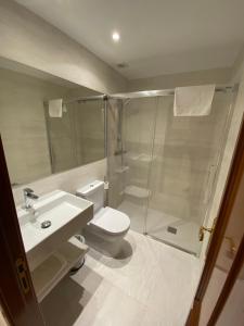 y baño con ducha, aseo y lavamanos. en Apartamentos San Fermín, en Vitoria-Gasteiz