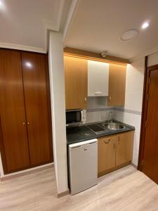 una pequeña cocina con fregadero y microondas en Apartamentos San Fermín, en Vitoria-Gasteiz