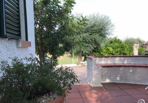 Zahrada ubytování Villa Il Carrubo - Basilicata