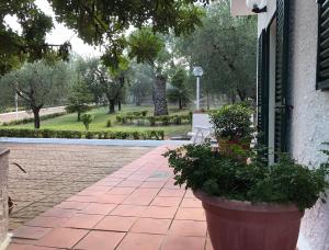 Zahrada ubytování Villa Il Carrubo - Basilicata