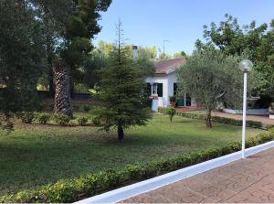 Zahrada ubytování Villa Il Carrubo - Basilicata