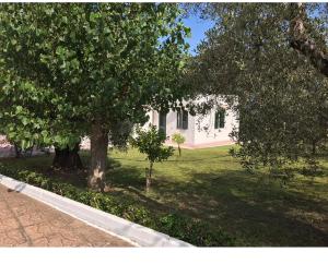 Zahrada ubytování Villa Il Carrubo - Basilicata