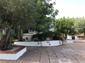 Zahrada ubytování Villa Il Carrubo - Basilicata