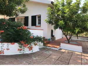 Zahrada ubytování Villa Il Carrubo - Basilicata