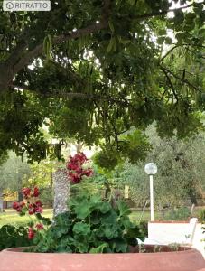 Zahrada ubytování Villa Il Carrubo - Basilicata