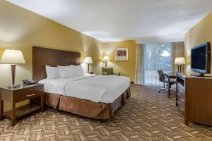 a hotel room with a bed and a television at Clarion Inn & Suites Roswell in Roswell +20 photos