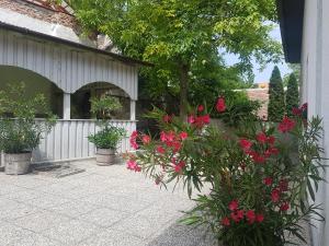 un patio con flores rosas y un edificio en Huber Vendégház en Fertőrákos
