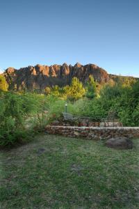 eine Bank auf einem Feld mit einem Berg im Hintergrund in der Unterkunft Amberg Country Estate in Paarl