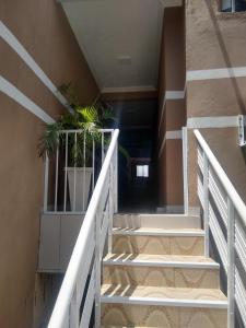 a staircase in a building with a potted plant at Pousada Restaurante Sol de Liz in Fortaleza