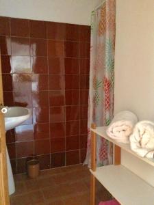 a bathroom with a shower and a sink with towels at LA MAISON D’ALICE in Sault-de-Vaucluse