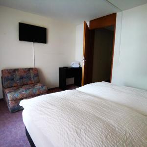 una camera d'albergo con letto e sedia di Hotel Crystal ad Adelboden