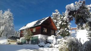 Ferienhaus Zwickelreith v zimě